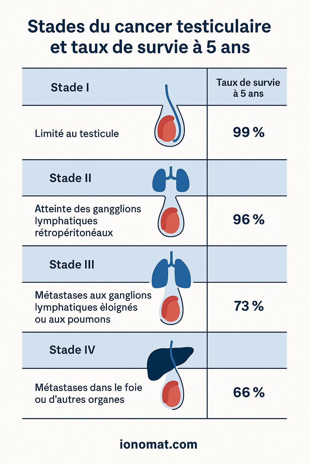 Infographie sur les stades du cancer testiculaire et les taux de survie à 5 ans